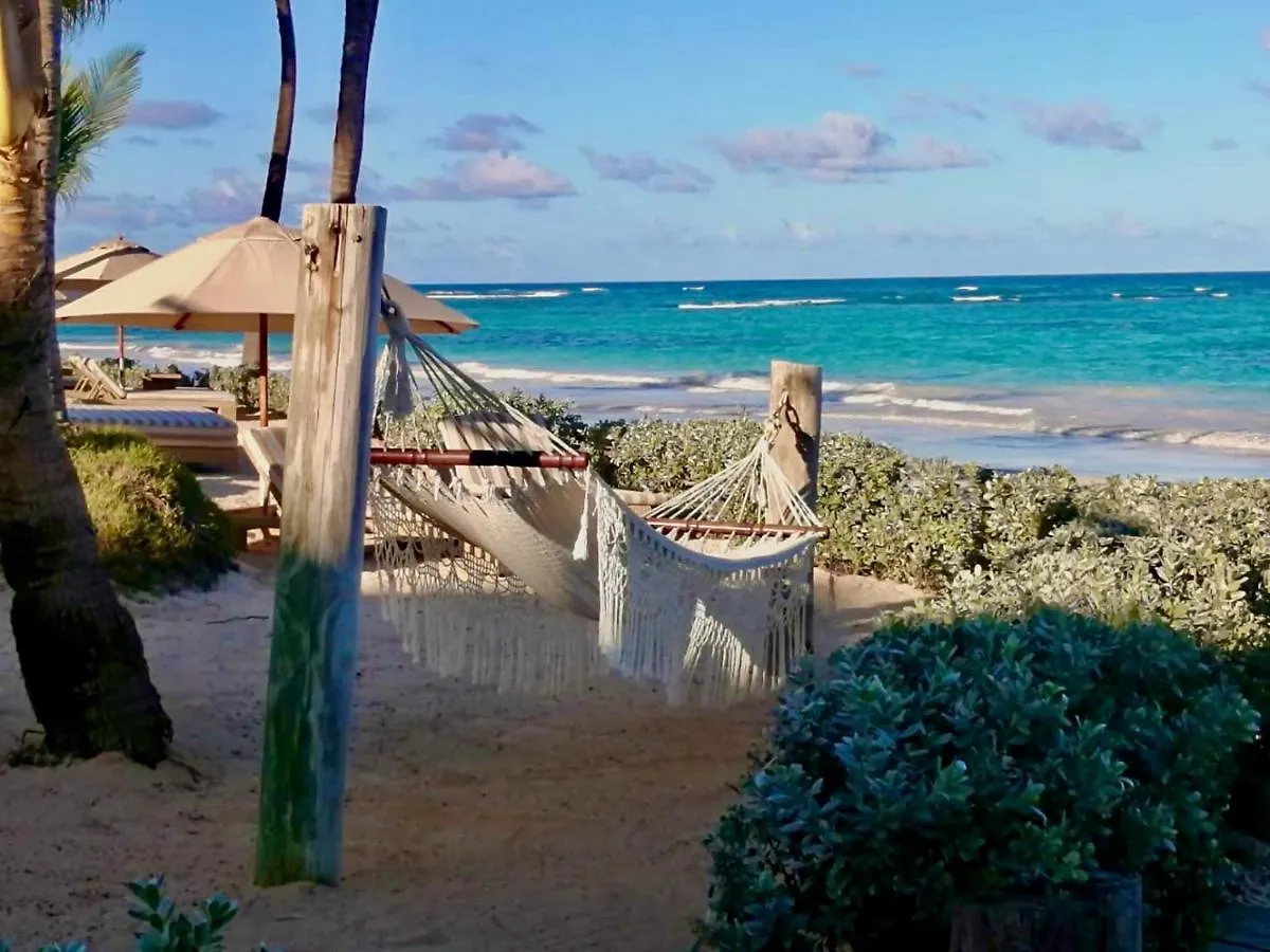 Vik Hotel Cayena Beach All Inclusive Punta Cana Dominican Republic
